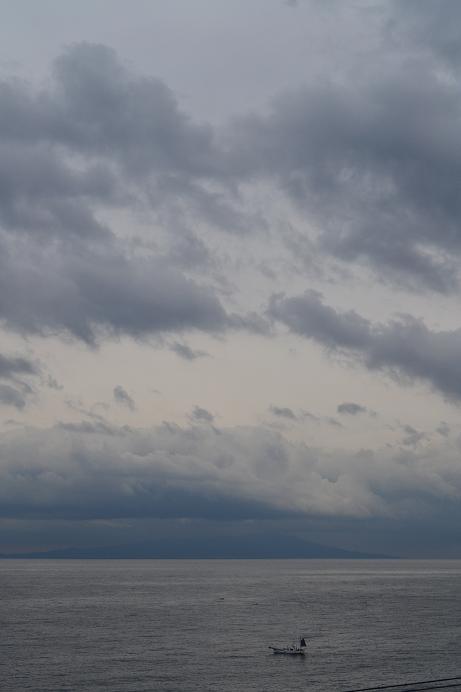 今日の海