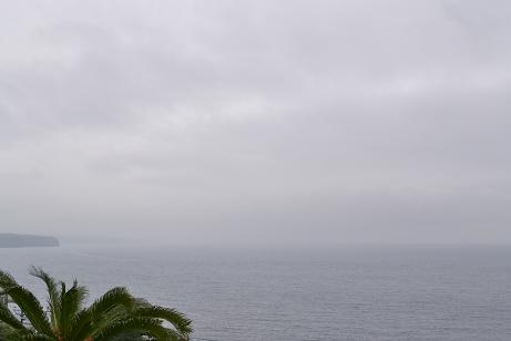 今日の海