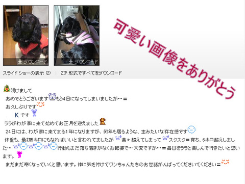 富士☆K様☆ララちゃん