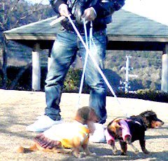 富士☆E様☆リノ君