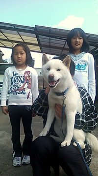 富士☆T様☆権太君