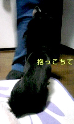 富士☆E様☆リノ君