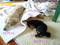 富士☆A様☆四姉妹