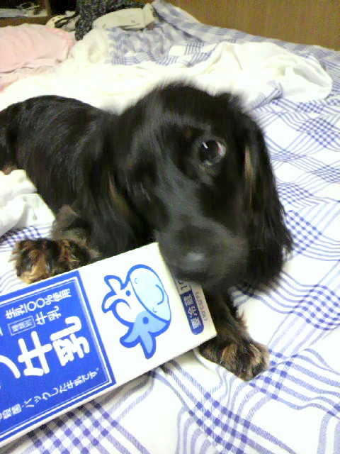 富士☆K様☆ララちゃん