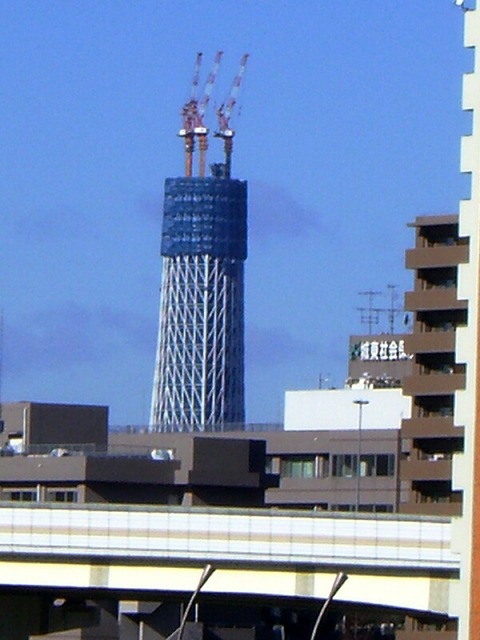 東京☆U様☆こももちゃん