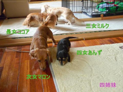 富士☆A様☆四姉妹