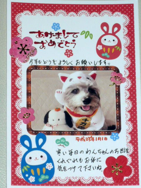 東京☆U様☆こももちゃん
