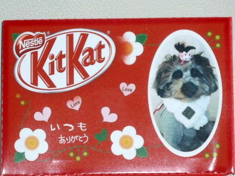 こももママからのレターパック