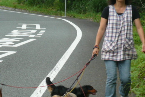 鵜匠☆富士☆S様☆三姉妹