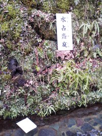 水占いと貴船神社からのアクセス