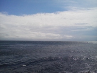 稲取の海は光ってました！