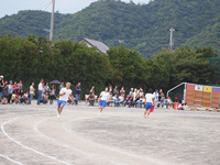 運動会犬