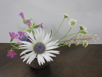今日の生け花