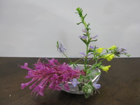 今日の生け花