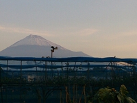 富士山に感謝〜万物に感謝〜