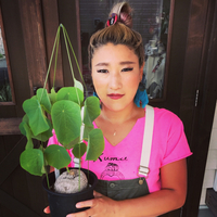 塊根植物と私。