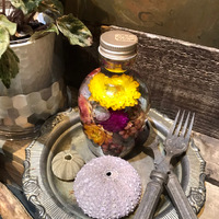 お友達のお寺♡ 2021/06/19 09:27:58