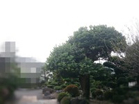 2015年11月18日