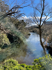 柿田川公園① 2022/01/31 21:00:00