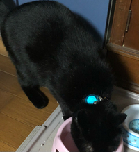 羨ましい髪の毛 2021/05/30 21:00:00