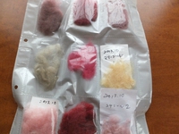 名刺ポケットの別の使い方
