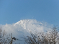 ありがとうございました。