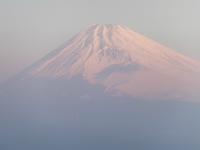 あけましておめでとうございます