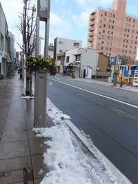 大雪のあと