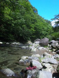 水恋鳥広場