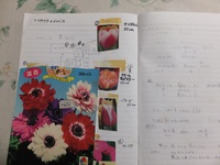 書類整理