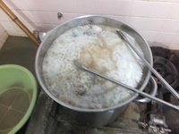 汚毛洗って