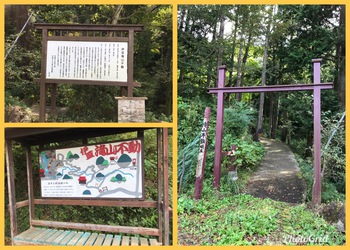 楽しかった[cocoツアー]