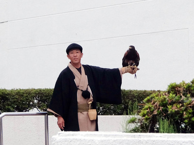 鷹匠実演