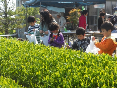 ★　春の収穫祭「顔・顔・顔」　★