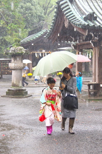 三嶋大社で七五三のお祝い