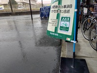 雨•••