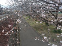 年度末 2025/03/31 23:38:00