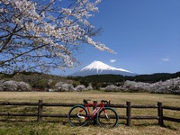 バイクチェックがてらに・・・