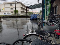明日は臨時休業の予定