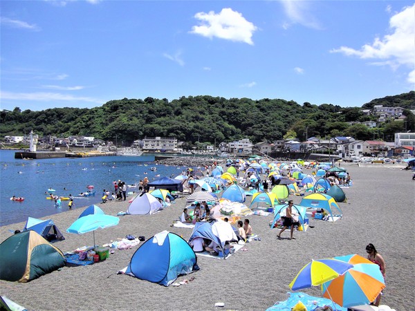 この夏伊豆のビーチ開催日程が決まったようです
