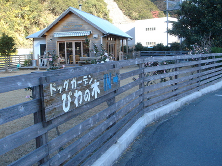 Ｄｏｇｓ Ｇａｒｄｅｎびわの木