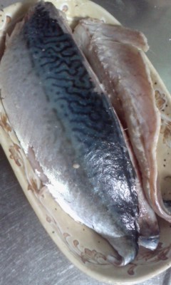 しめ鯖