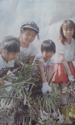 秋の収穫祭（静岡新聞）