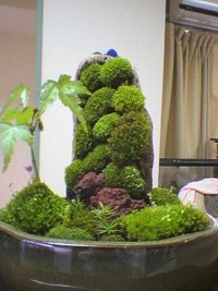 衝動買い