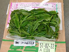 新茶生葉到着