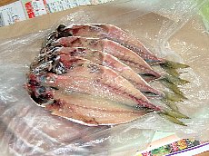 有機干物試作