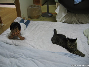 jrと猫