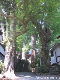 西伊豆ドライブ編1