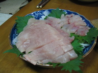 魚をおろしました！