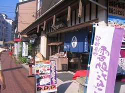 妊婦さん旅行に行く～準備編～
